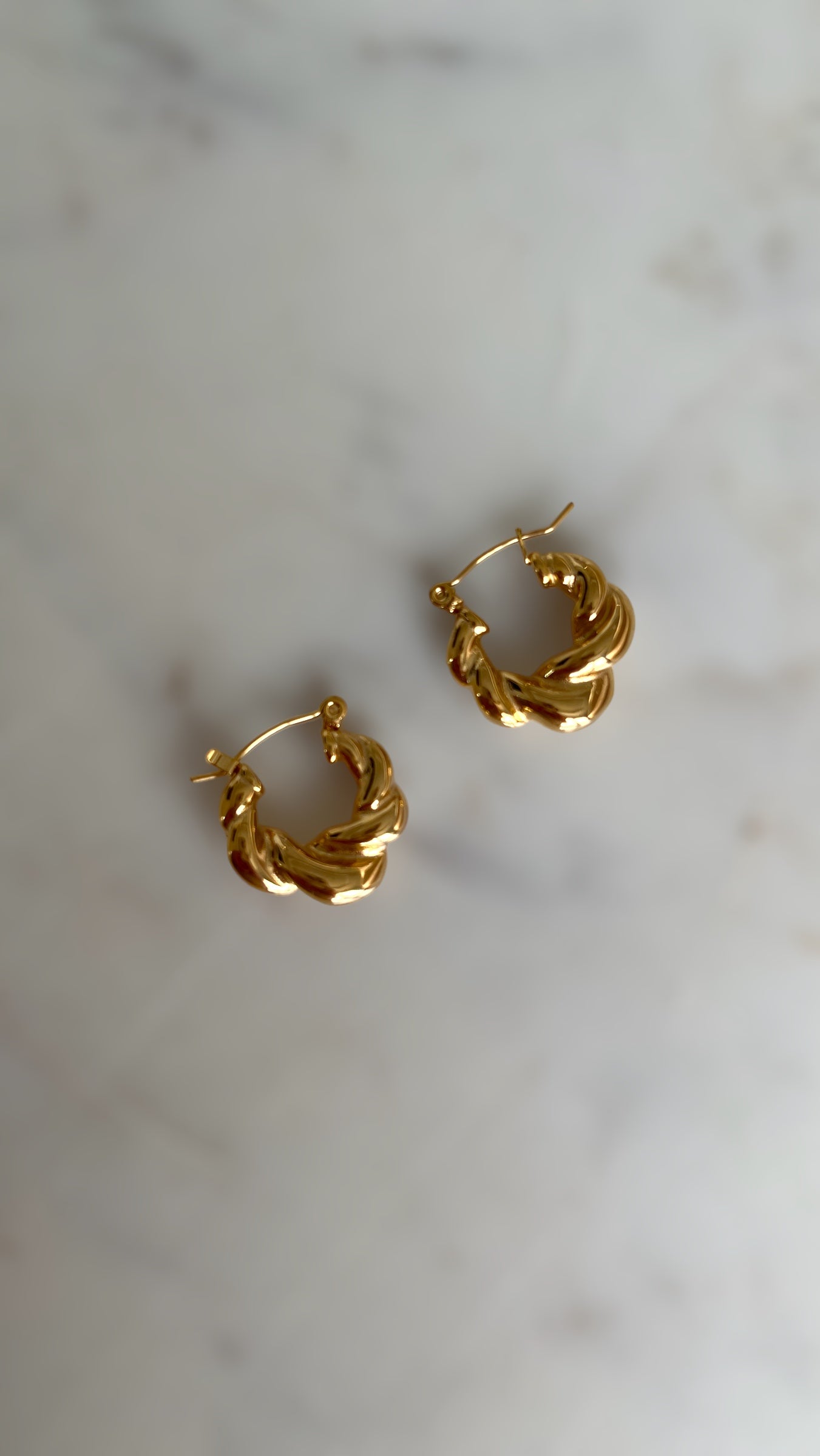 Gold Plated Twist Stainless Steel Earrings