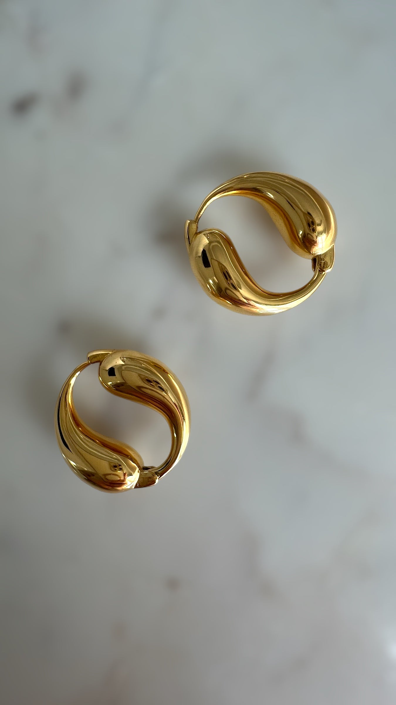 18k Gold Plated Trendy Circle Stainless Steel Earrings